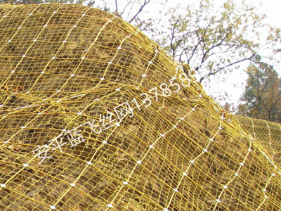 邊坡防護網(wǎng)-3.jpg